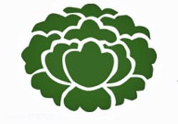 Boulder Summer Camps